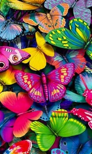Whatsapp Cute Wallpaper