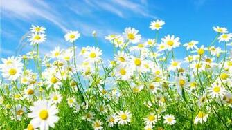 Spring Screensavers And Wallpaper Best