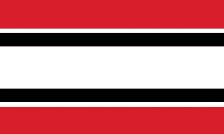 Chicago Blackhawks Nhl Team Color Wallpaper