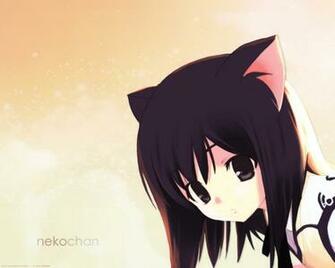Lexiomega Image Neko HD Wallpaper And Background Photos