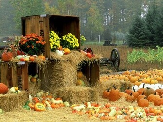 3d Autumn Desktop Wallpaper In HD