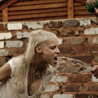 Die Antwoord