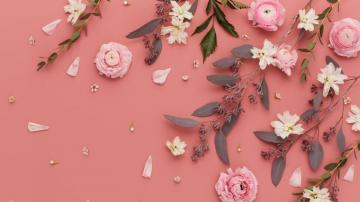 Pink Flower Desktop Wallpaper On