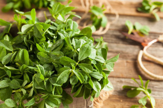 Fenugreek Leaves Wallpaper