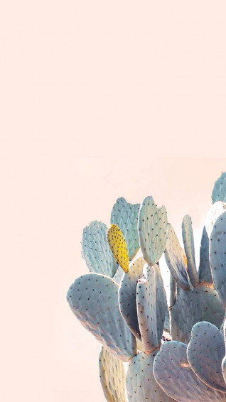 Cute iPhone Wallpaper Cactus