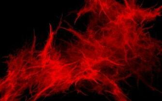 Fire Red Blast Paint Abstract Wallpaper