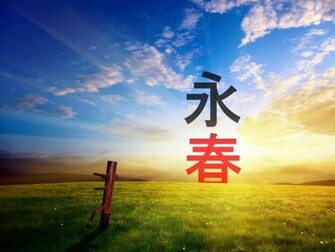Wallpaper Wing Chun By Feurius Customize Org