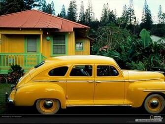 Wallpaper Photography Wonderful Yellow