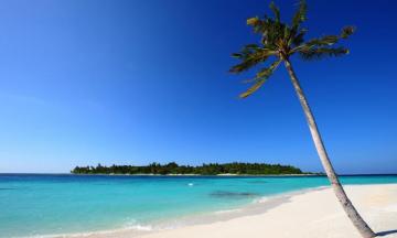 Goa Beach HD Wallpaper Zense Resort