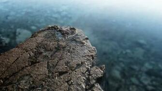 Stone Depth Of Field Wallpaper Hq