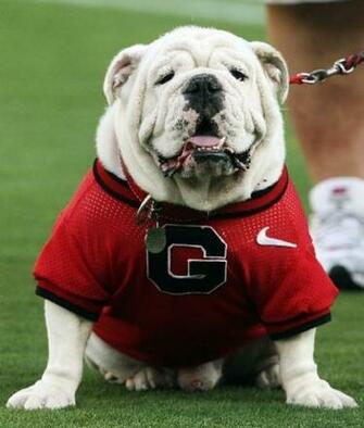 Georgia Bulldogs Sports