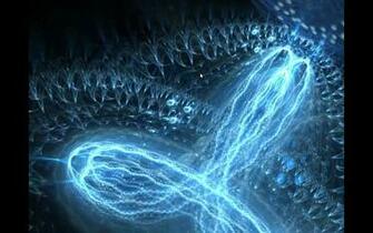 Electric Sheep Wallpaper