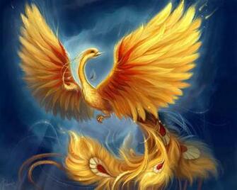 Wallpaper HD Desktop Online Bird