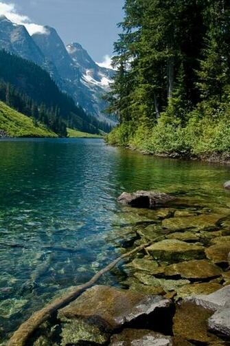 Plus Wallpaper Android Mobile Screensavers