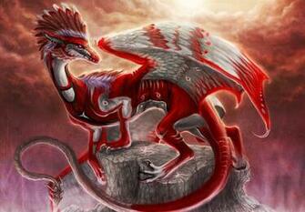The Bearded Dragon From Fairytales To Reality