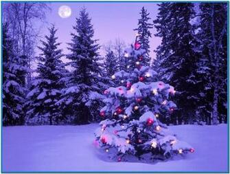 Mac Christmas Screensavers