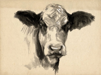 Charcoal Cow Ii Lovely Wall Mural Photowall
