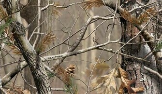 Camo Wallpaper For Computer Oak Hunting