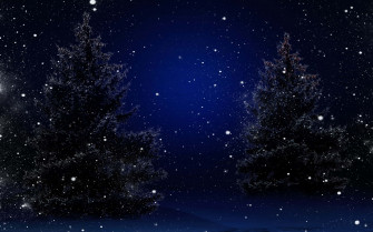 Winter Night Desktop Wallpaper