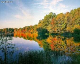 Nature Fall Picture Nr