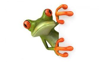 Frog 3d Wallpaper For Desktop Is A Great Your Computer