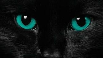 Black Jaguar Wallpaper Sf