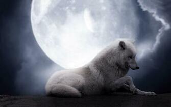 HD Wolf Wallpaper