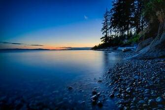 Landscape Photography Of Tree Near Body Water Sunshine Coast