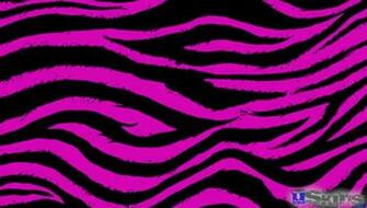Pink Zebra Wallpaper Image Pictures Becuo Clip Art Library