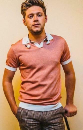 Image About Wallpaper In Niall Horan By Little Bee