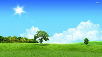 Summer Day Desktop Digital Art X Meadow Photos