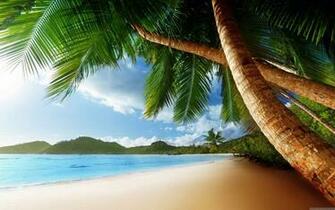 Caribbean Beach Wallpaper HD For Your Desktop Nature