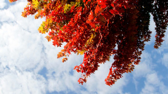 Welcoming The First Day Of Fall With Vibrant Autumn Colors Wallpaper