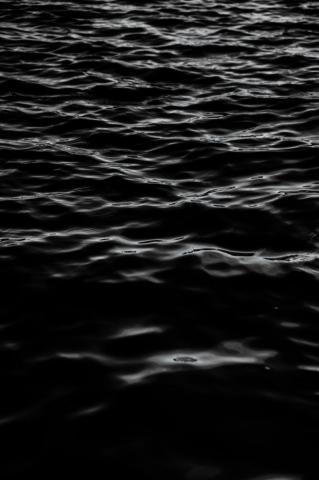 Black Sea Pictures Image