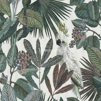 Wallpaper Panthera Online Shop Wallcover