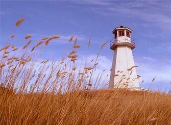 Wallpaper Lighthouse Gallery Screensaver Shareware