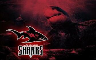 Jacksonville Haaien Wallpaper