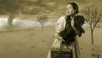 Oh No Toto Wallpaper Background Theme Desktop