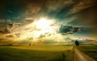 To Sunlight HD Natural Scenery Wallpaper World