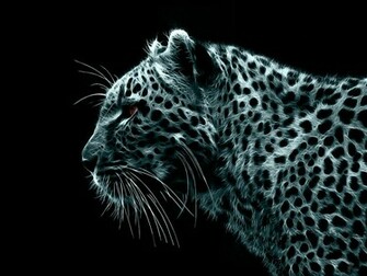 Black Leopard Wallpaper Top Quality