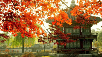 Best Korean Aesthetic Wallpaper Desktop You Can Get It