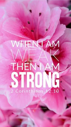 Pink Christian Wallpaper And Ideas To Save