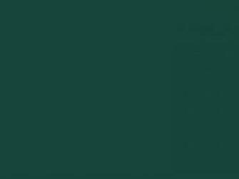 Green Solid Color Background And The Below