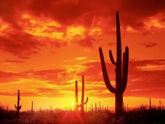 Desktop Background Background Pictures Wallpaper
