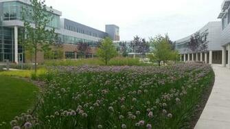Counselor Education Western Illinois University