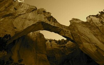 Sepia Wallpaper