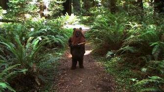 Ewok Wallpaper HD Wallpapercraft