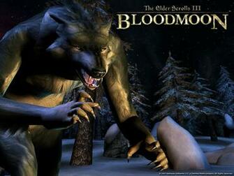 Wallpaper The Elder Scrolls Iii Bloodmoon Werewolf