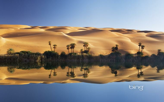 Bing Dynamic Background For