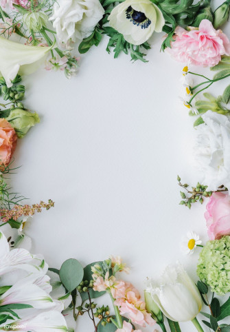 Fresh Flowers Frame On A White Background Wallpaper